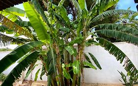 Beach Apartment, Playa Muchavista 900m, Chalet tranquilo, Villa Acuario